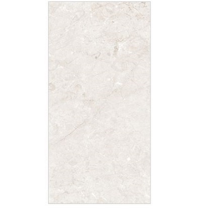 Keramička pločica 6523 mat 120 x 60 cm